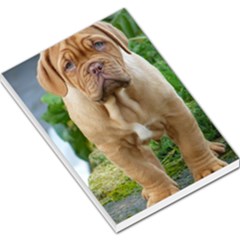 Cute Wrinkly Puppy Large Memo Pads by trendistuff