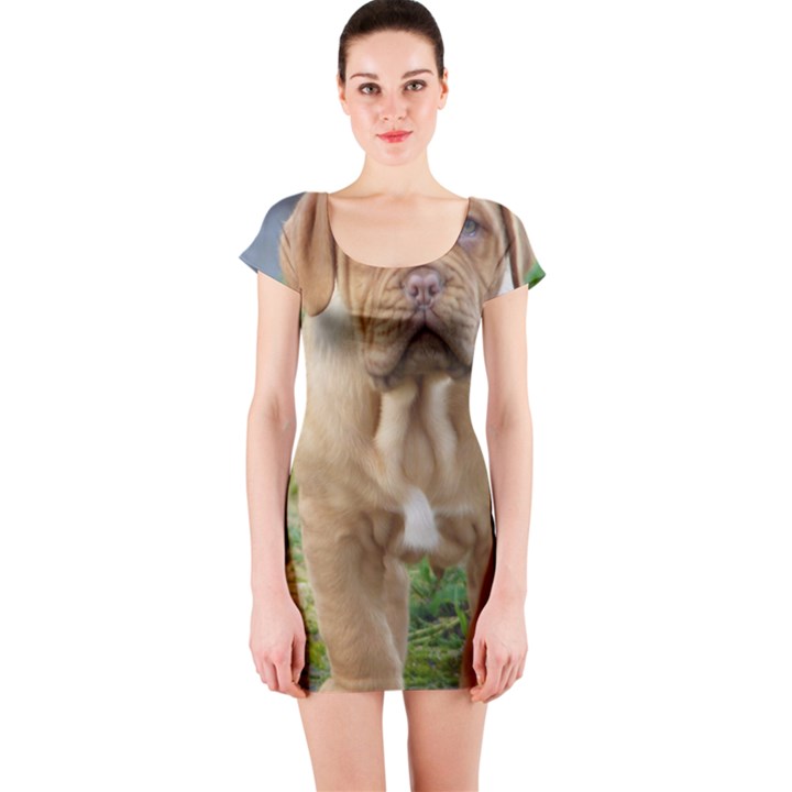 CUTE WRINKLY PUPPY Short Sleeve Bodycon Dresses