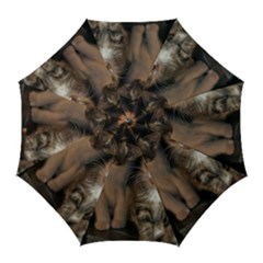 Cute Kitties Golf Umbrellas by trendistuff