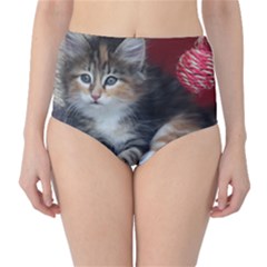 Comfy Kitty High-waist Bikini Bottoms by trendistuff