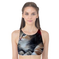 Comfy Kitty Tank Bikini Top by trendistuff