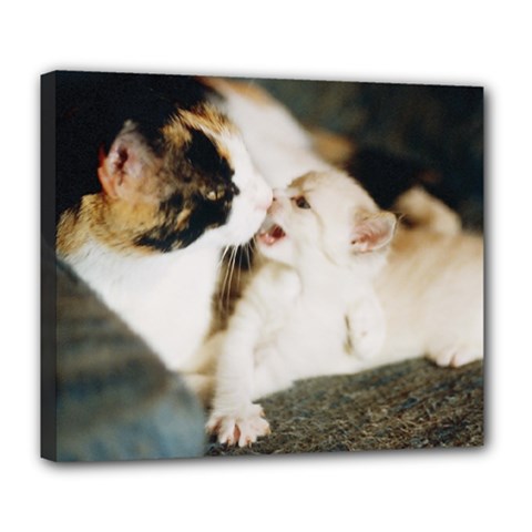 Calico Cat And White Kitty Deluxe Canvas 24  X 20   by trendistuff