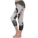 CALICO CAT AND WHITE KITTY Capri Winter Leggings  View2