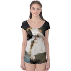 Calico Cat And White Kitty Short Sleeve Leotard by trendistuff