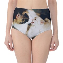 Calico Cat And White Kitty High-waist Bikini Bottoms by trendistuff