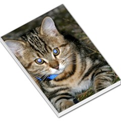 Blue-eyed Kitty Large Memo Pads by trendistuff