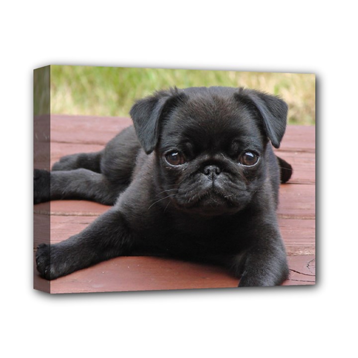 ALERT PUG PUPPY Deluxe Canvas 14  x 11 