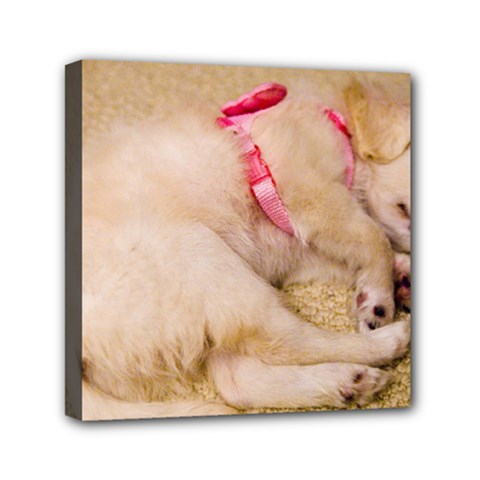 Adorable Sleeping Puppy Mini Canvas 6  X 6  by trendistuff