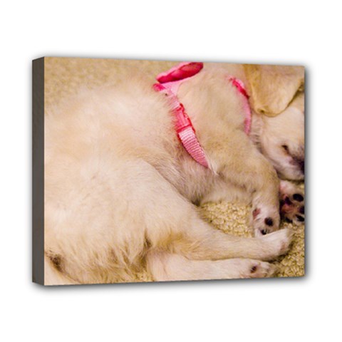 Adorable Sleeping Puppy Canvas 10  X 8  by trendistuff