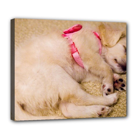Adorable Sleeping Puppy Deluxe Canvas 24  X 20   by trendistuff