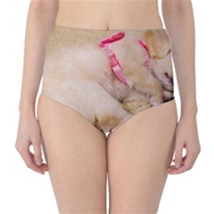 Adorable Sleeping Puppy High-waist Bikini Bottoms by trendistuff