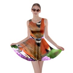 Peacock Butterfly Skater Dresses by trendistuff