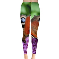 Peacock Butterfly Women s Leggings by trendistuff