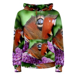 Peacock Butterfly Women s Pullover Hoodies by trendistuff