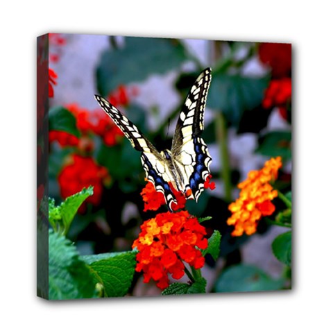 Butterfly Flowers 1 Mini Canvas 8  X 8  by trendistuff