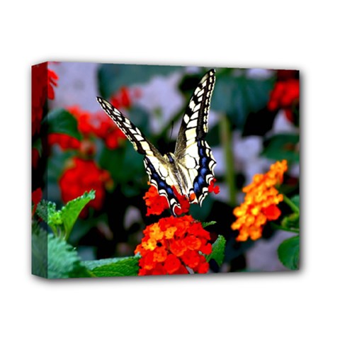 Butterfly Flowers 1 Deluxe Canvas 14  X 11  by trendistuff
