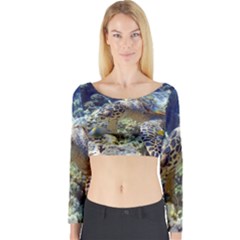 Sea Turtle Long Sleeve Crop Top by trendistuff