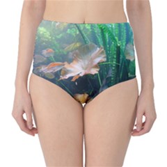 Marine Life High-waist Bikini Bottoms by trendistuff