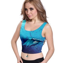 Hammerhead Crop Top