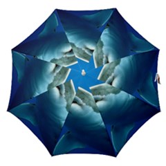 Great White Shark 3 Straight Umbrellas by trendistuff