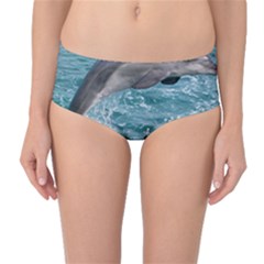 Dolphin Mid-waist Bikini Bottoms by trendistuff