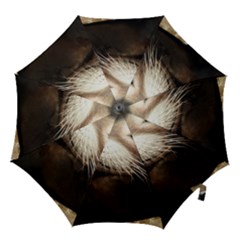 Cute Sea Lion Hook Handle Umbrellas (small) by trendistuff