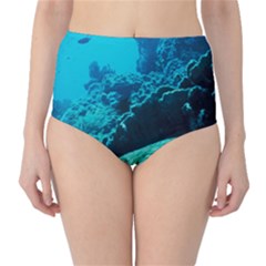 Coral Reefs 2 High-waist Bikini Bottoms by trendistuff