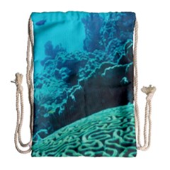 Coral Reefs 2 Drawstring Bag (large) by trendistuff