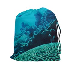 Coral Reefs 2 Drawstring Pouches (xxl) by trendistuff