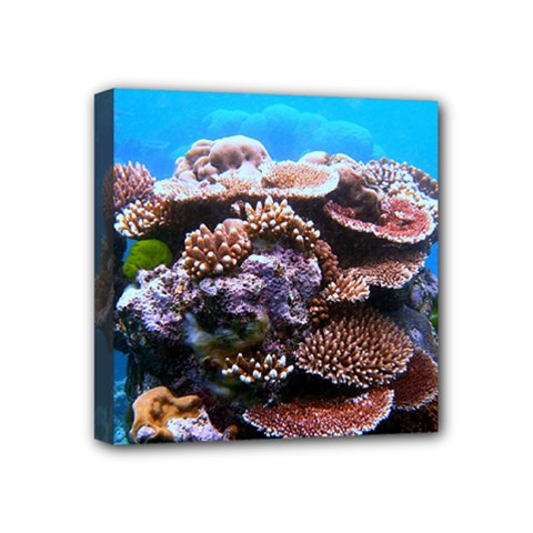 Coral Outcrop 2 Mini Canvas 4  X 4 