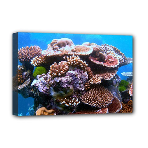 Coral Outcrop 2 Deluxe Canvas 18  X 12   by trendistuff