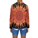 Flaming Sun Kid s Long Sleeve Swimwear View2