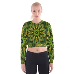 Woven Jungle Leaves Mandala Women s Cropped Sweatshirt by Zandiepants