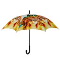 Indian 29 Hook Handle Umbrellas (Medium) View3