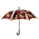 Indian 21 Hook Handle Umbrellas (Small) View3