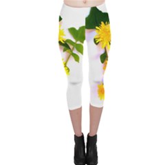 Margaritas Bighop Design Capri Leggings  by bighop