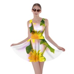 Margaritas Bighop Design Skater Dress