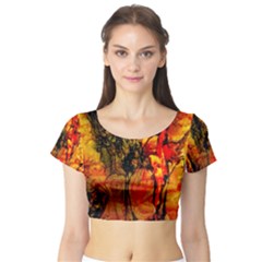 Jandi Short Sleeve Crop Top (tight Fit)