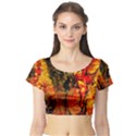 Jandi Short Sleeve Crop Top (Tight Fit) View1