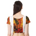 Jandi Short Sleeve Crop Top (Tight Fit) View2
