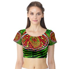 Star Bright Short Sleeve Crop Top (tight Fit) by MRTACPANS