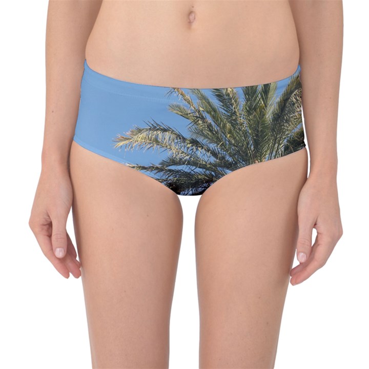 Tropical Palm Tree  Mid-Waist Bikini Bottoms