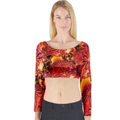  Flame Delights, Abstract Red Orange Long Sleeve Crop Top by DianeClancy