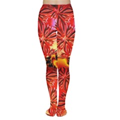  Flame Delights, Abstract Red Orange Women s Tights by DianeClancy