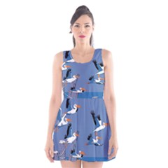 Abstract Pelicans Seascape Tropical Pop Art Scoop Neck Skater Dress by WaltCurleeArt