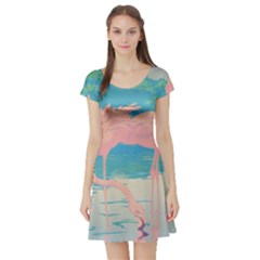 Two Pink Flamingos Pop Art Short Sleeve Skater Dress