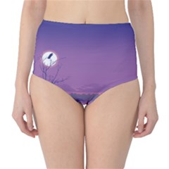 Abstract Tropical Birds Purple Sunset  High-waist Bikini Bottoms