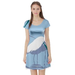 Egret Short Sleeve Skater Dress by WaltCurleeArt