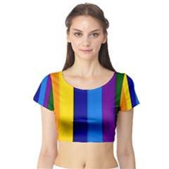 Rainbow Painting On Wood Short Sleeve Crop Top (tight Fit) by StuffOrSomething