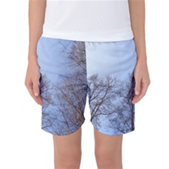 Natural Brown Blue, Large Trees In Sky Women s Basketball Shorts by yoursparklingshop